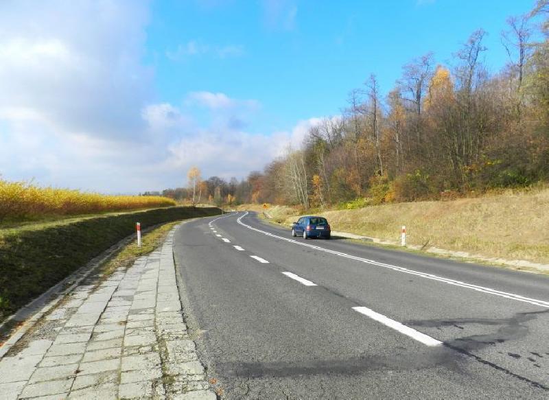 Ulica prowadząca ze Szczebrzeszyna do Gorajca z jadącym samochodem i drzewami po prawej stronie na tle błękitnego nieba